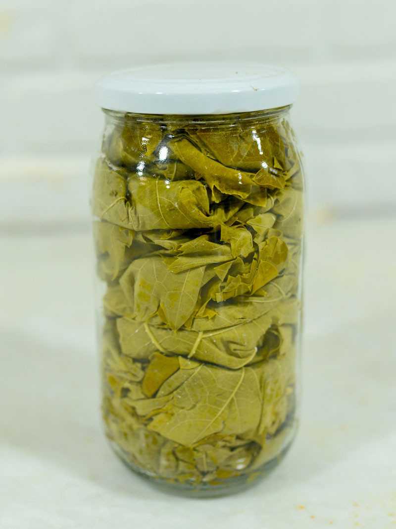 Kuru Basım Asma Yaprak 1'lik Kavanoz