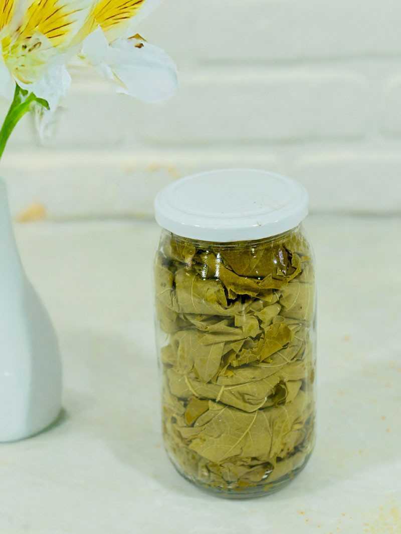 Kuru Basım Asma Yaprak 5x1'lik Kavanoz